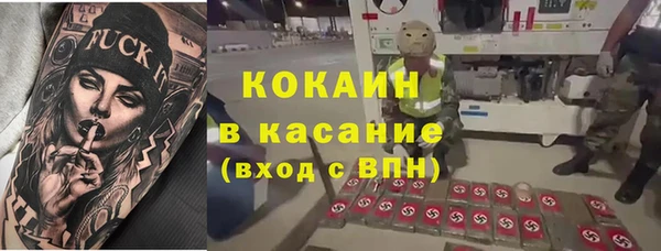 гашик Алзамай
