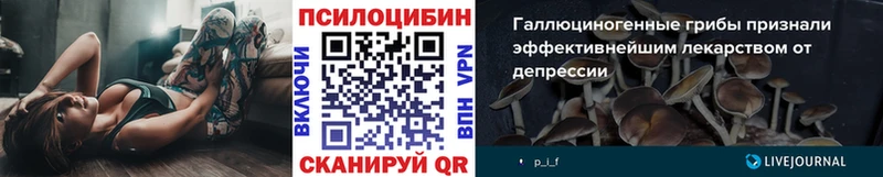 закладка  Удачный  Псилоцибиновые грибы прущие грибы 